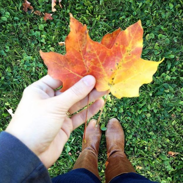 12106152_1221579054525437_565679192_n