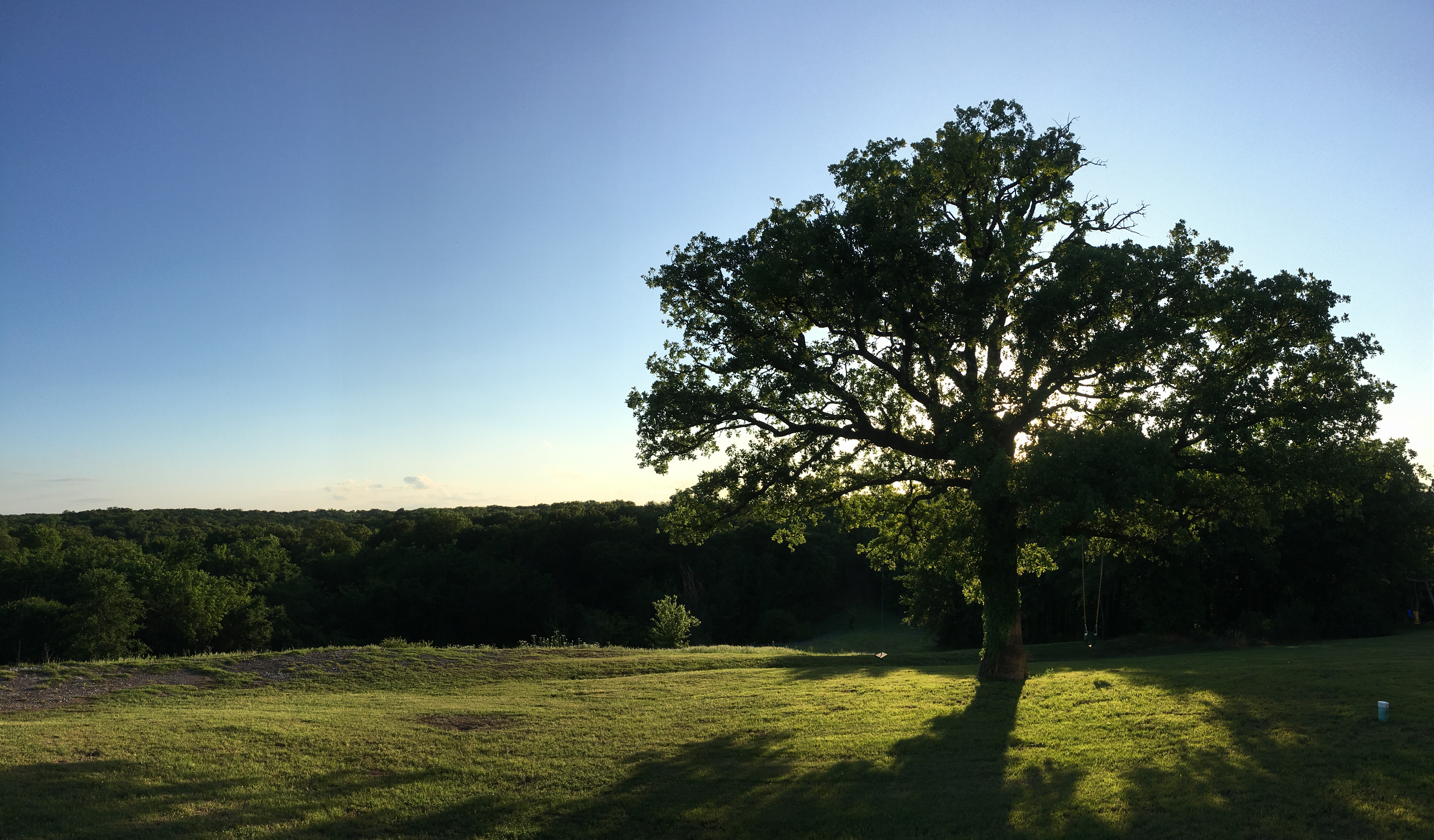 B019313B-14C6-4DE8-AB20-DF3FCFF5EAFC